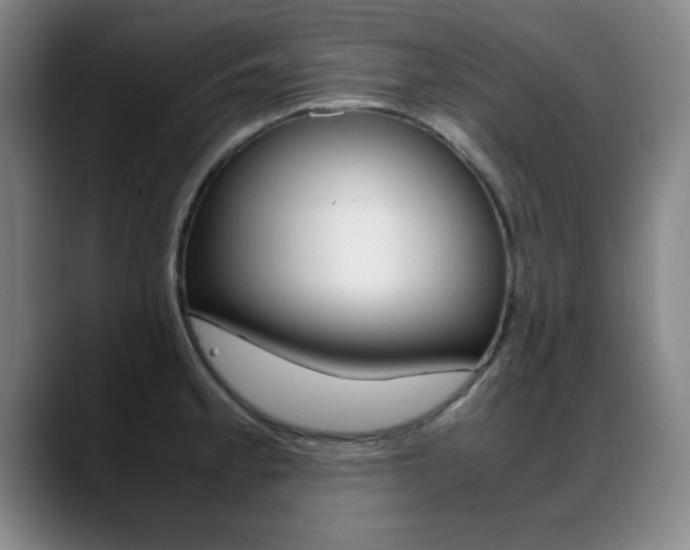 X0000089371189200706150837