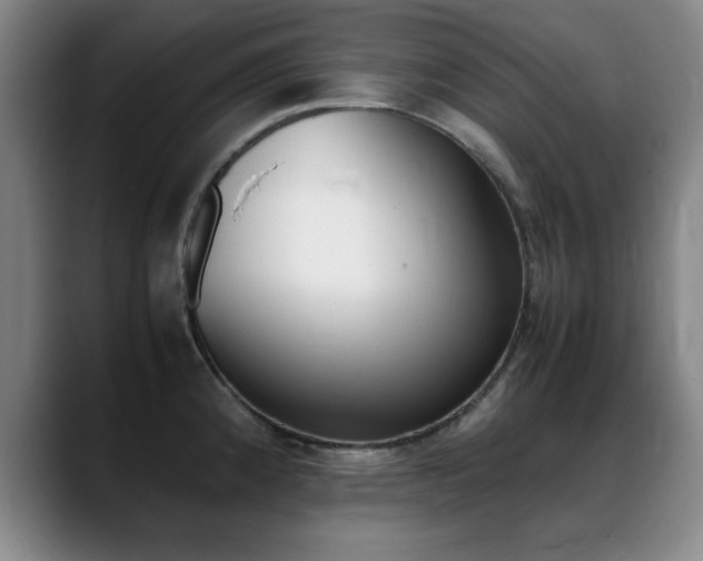 X0000089371192200706150837