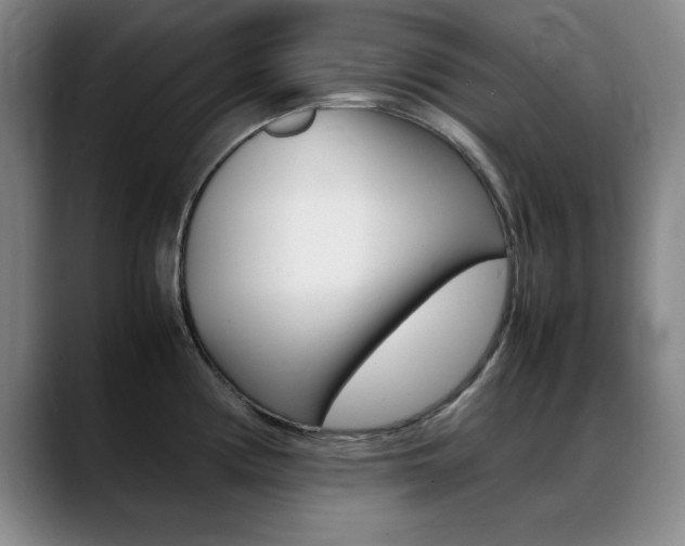 X0000089371194200706150837