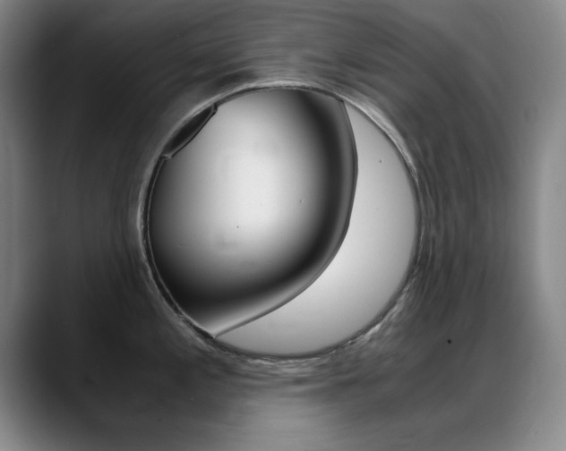 X0000089371197200706150837