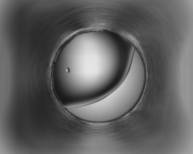 X0000089371200200706150837
