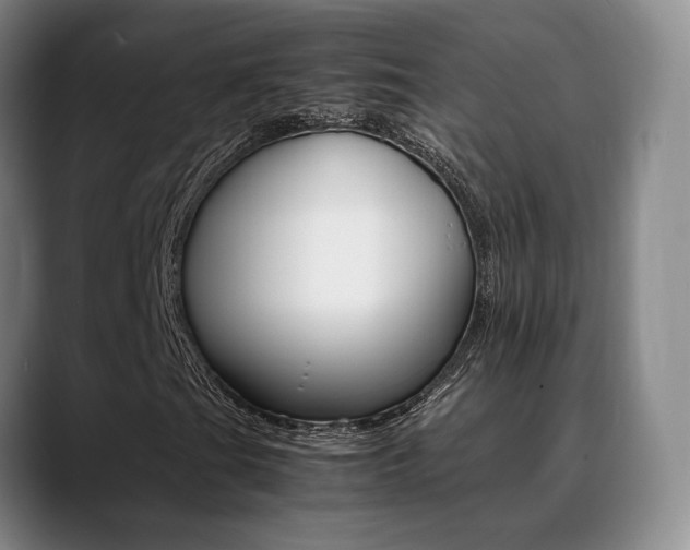 X0000089371201200706150836