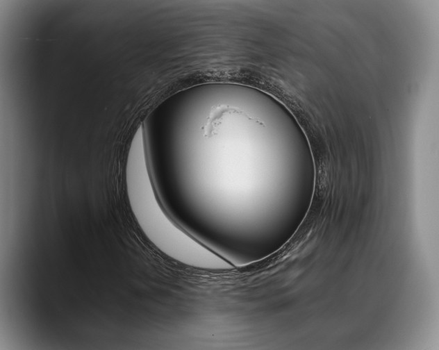 X0000089371202200706150836