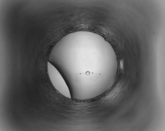 X0000089371203200706150836