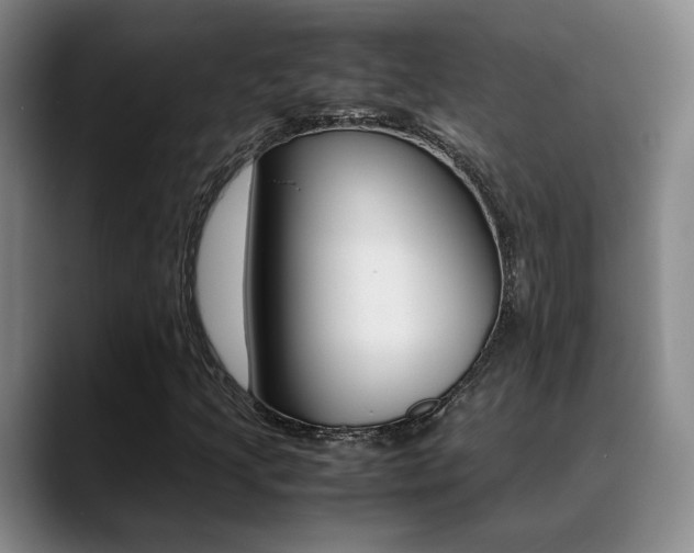 X0000089371205200706150836