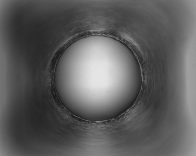 X0000089371208200706150836