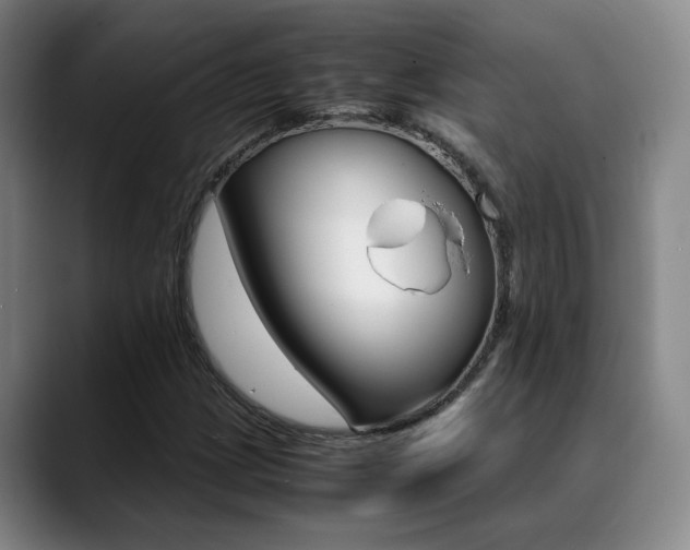 X0000089371209200706150836