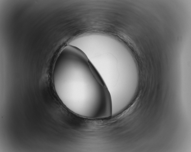 X0000089371210200706150836
