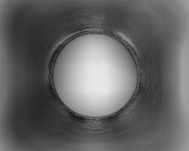 X0000089371215200706150836