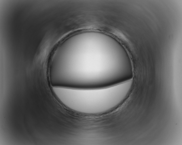 X0000089371216200706150836