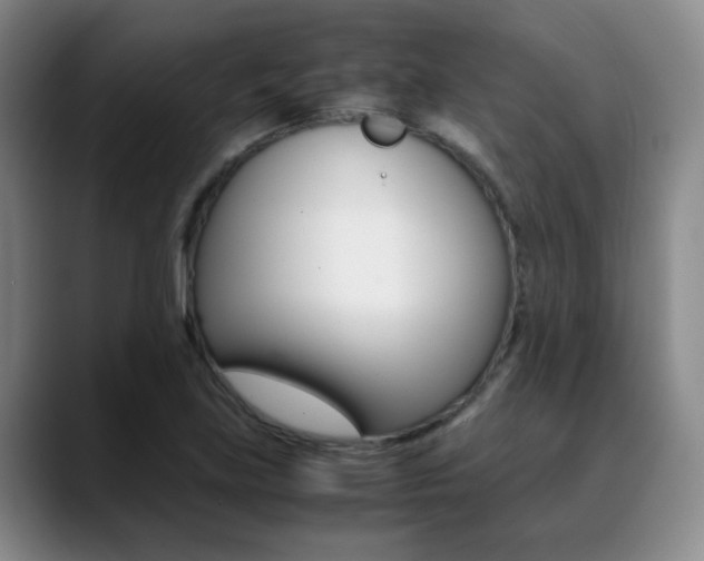X0000089371219200706150836