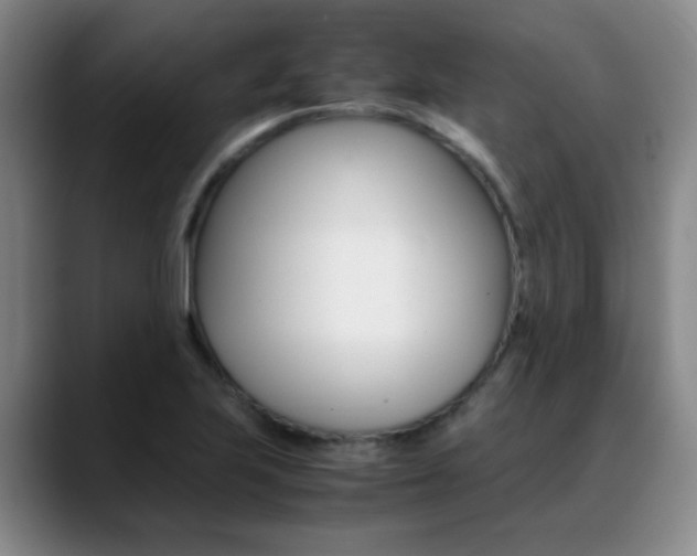 X0000089371223200706150836