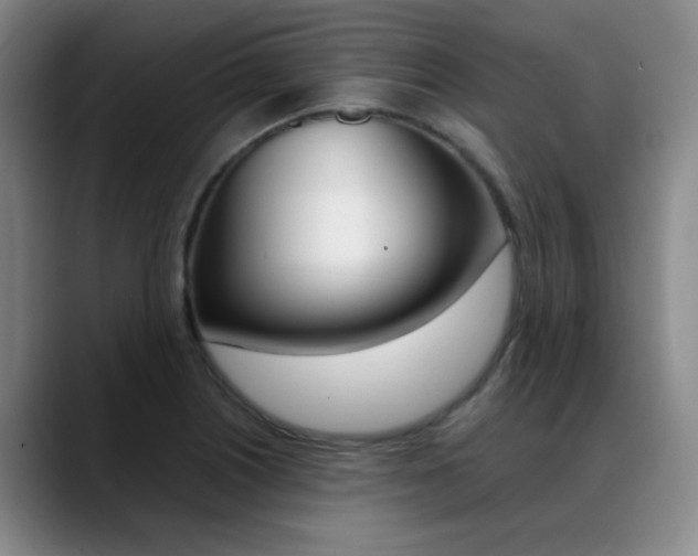 X0000089371226200706150836