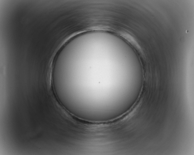X0000089371228200706150836