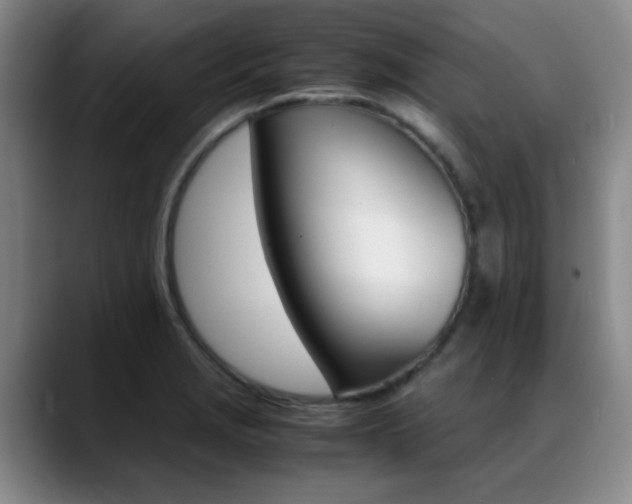 X0000089371229200706150837