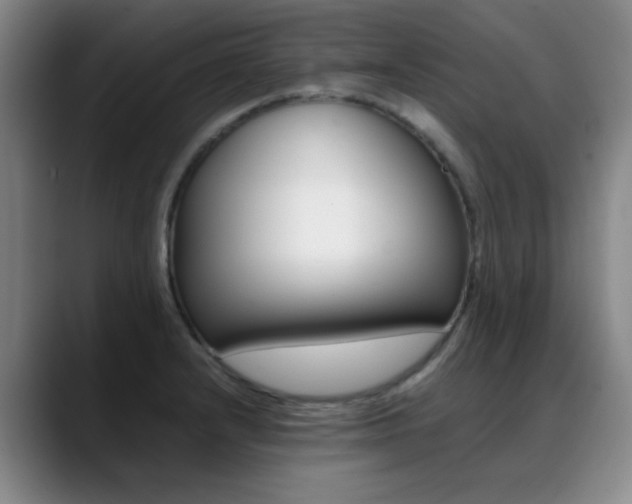 X0000089371232200706150837