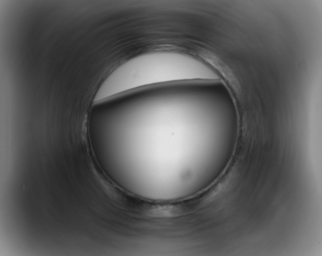 X0000089371233200706150837