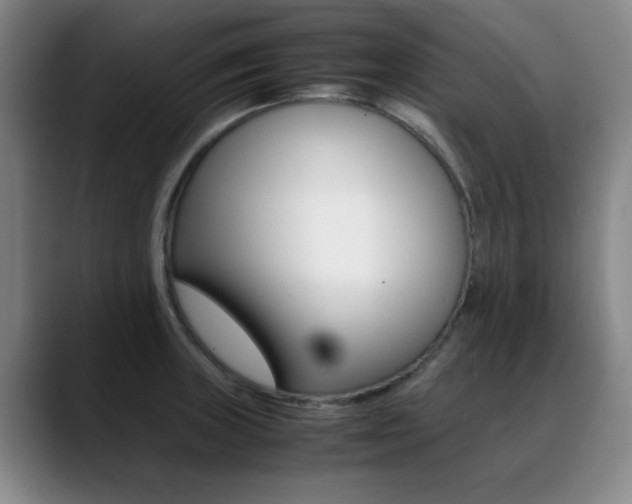 X0000089371235200706150837
