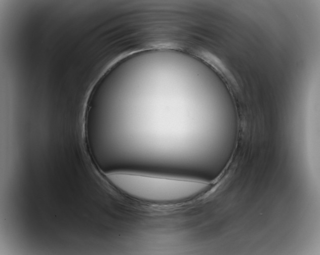 X0000089371236200706150837