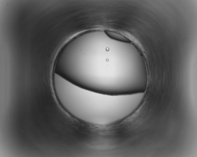 X0000089371239200706150837
