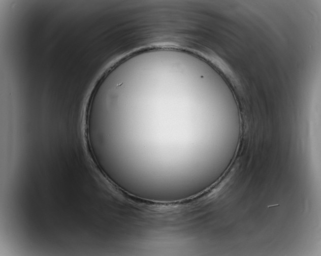 X0000089371240200706150837