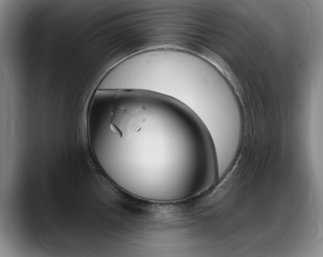X0000089371242200706150837