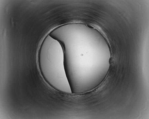 X0000089371243200706150837