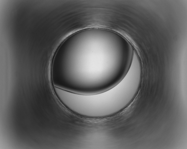 X0000089371246200706150837
