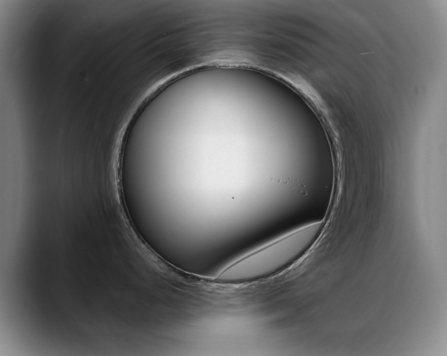 X0000089371248200706150837