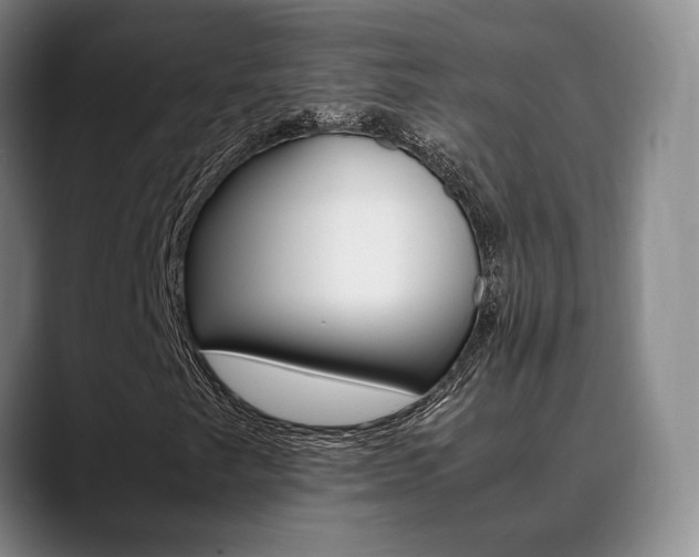 X0000089371249200706150836