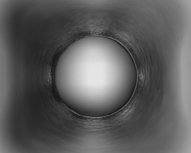 X0000089371252200706150836