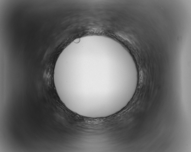 X0000089371254200706150836