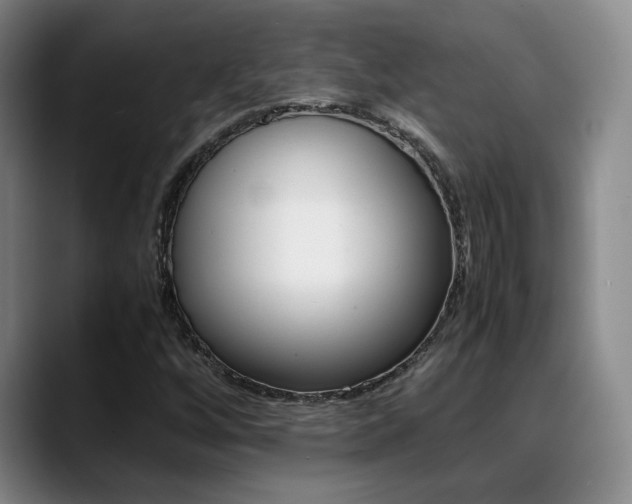 X0000089371256200706150836