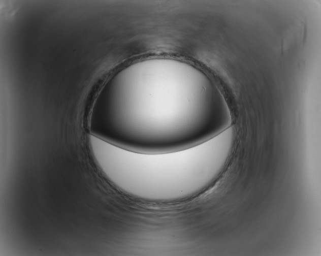 X0000089371261200706150836