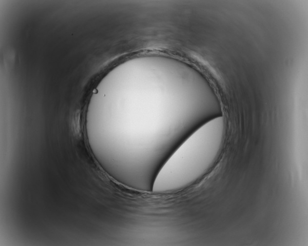 X0000089371262200706150836