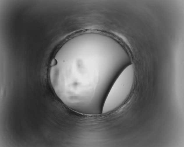X0000089371263200706150836