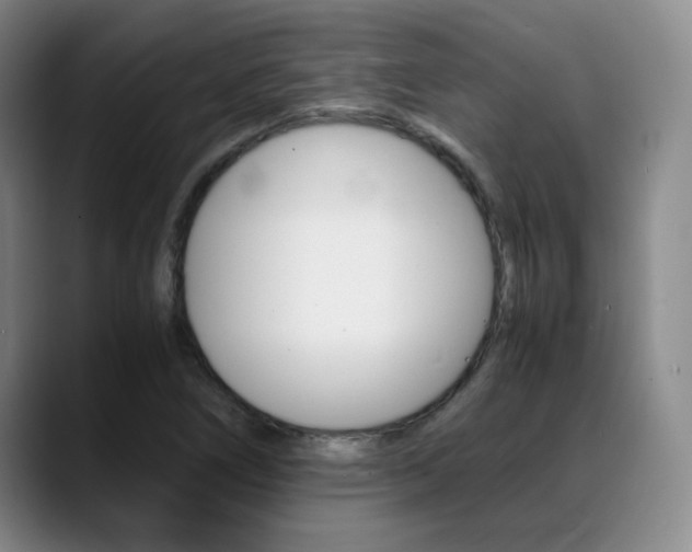 X0000089371266200706150836