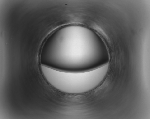 X0000089371268200706150836
