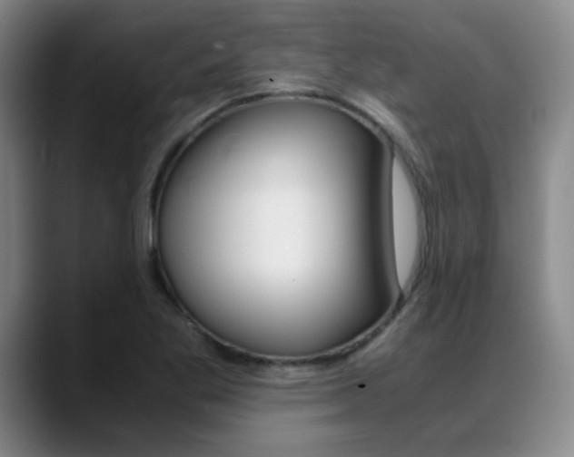 X0000089371269200706150836