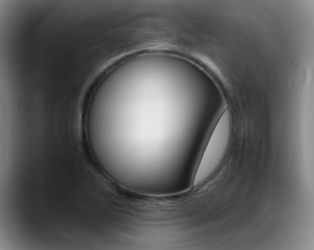 X0000089371270200706150836