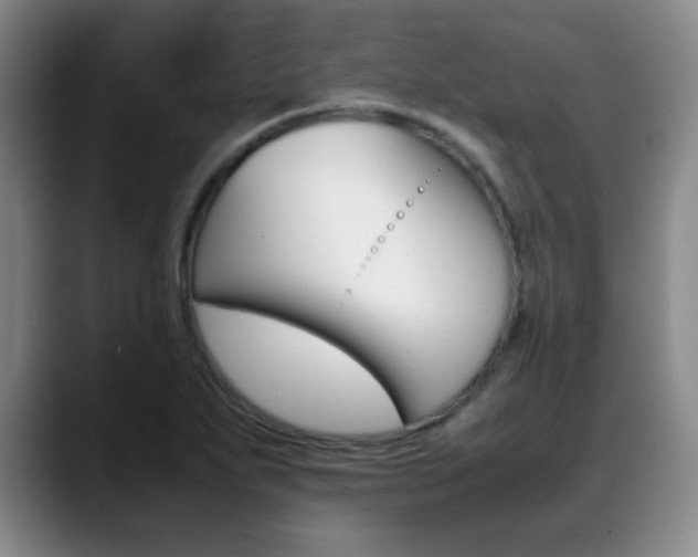 X0000089371271200706150836