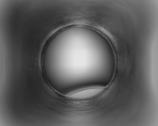 X0000089371272200706150836
