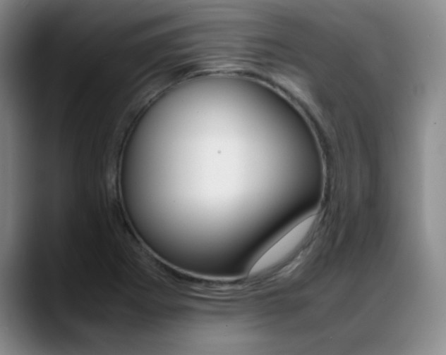 X0000089371273200706150836