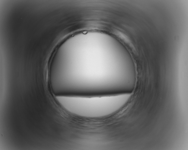 X0000089371275200706150836