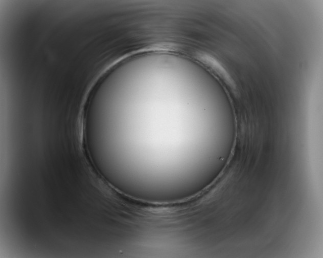 X0000089371276200706150836