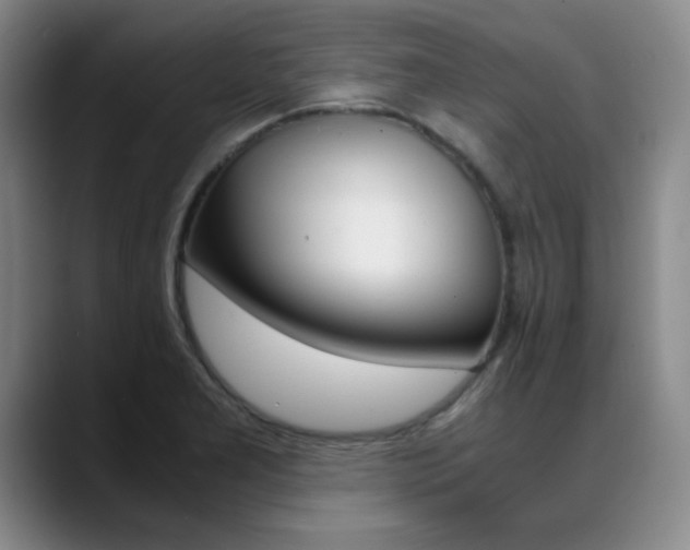 X0000089371277200706150836