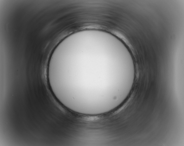 X0000089371282200706150836