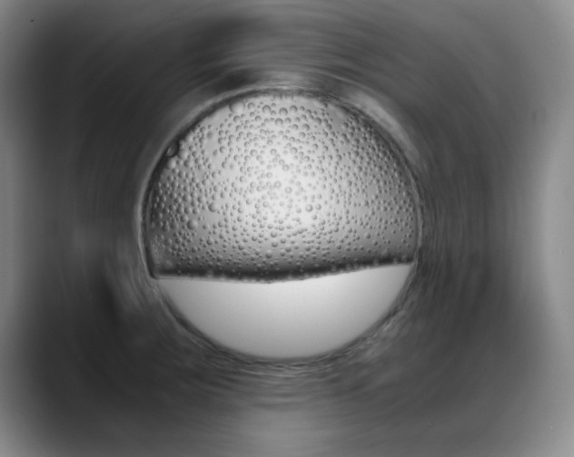 X0000089371283200706150836