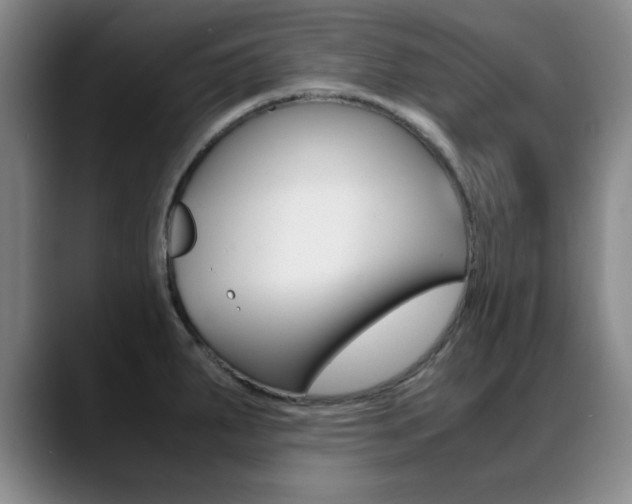 X0000089371287200706150836