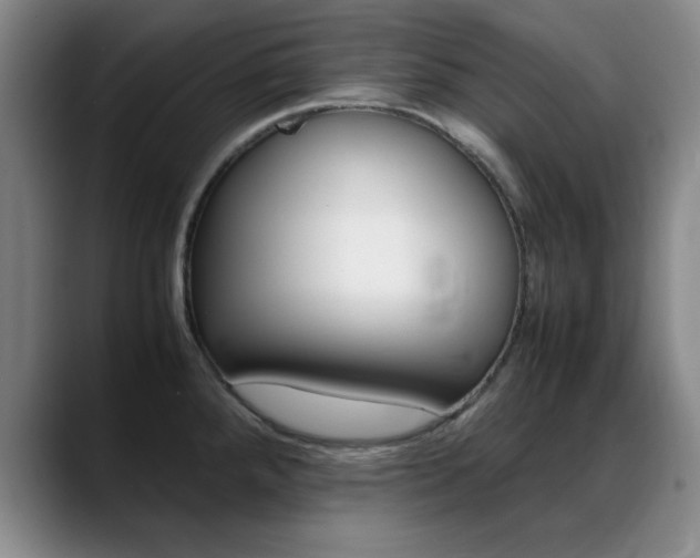 X0000089371288200706150836